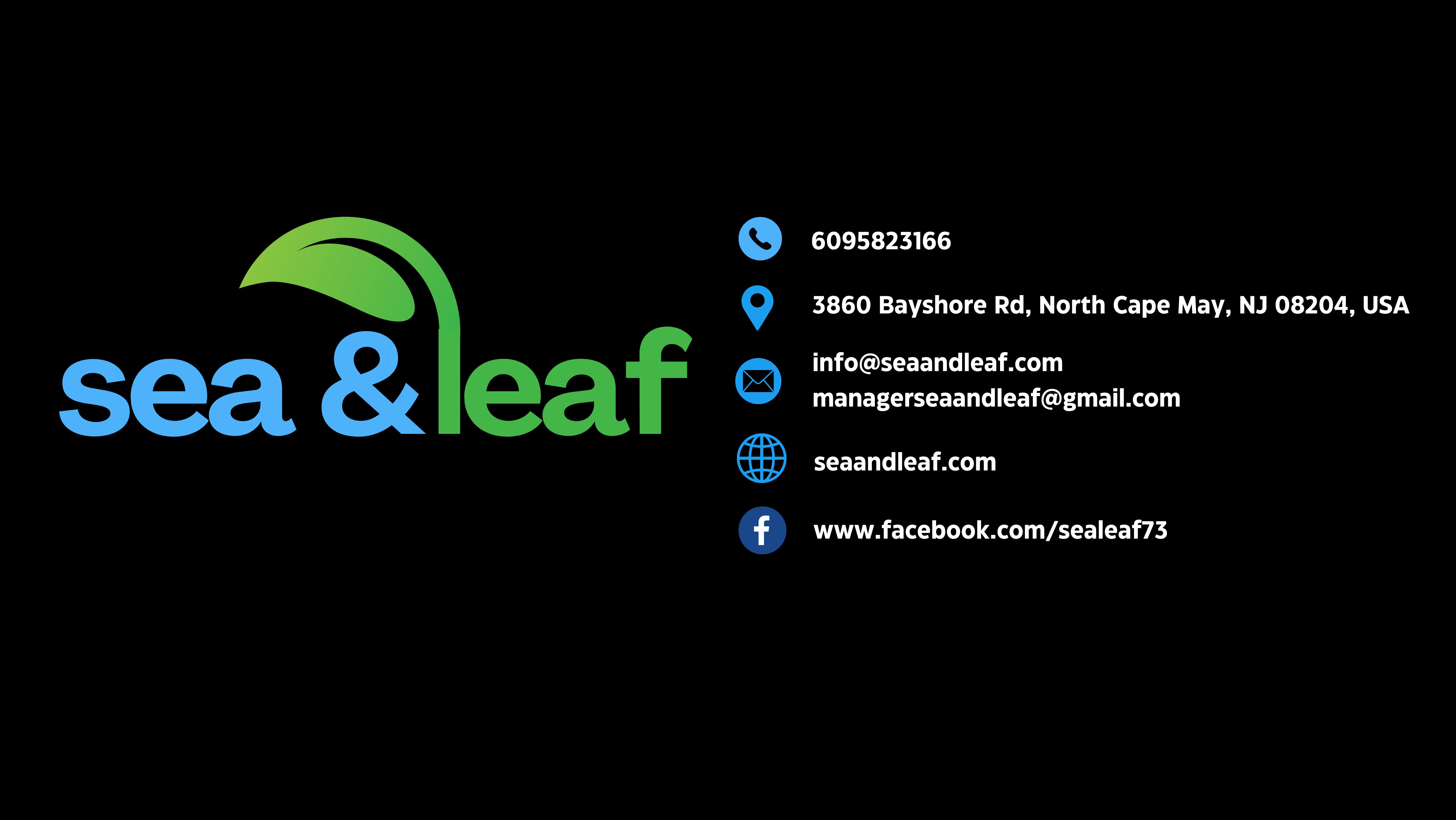 Recreational Dispensary Cannabis Cape May Nj